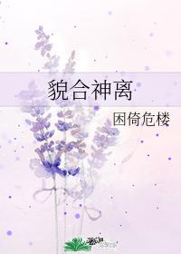 貌合神离哪个字错了