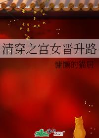 清穿之宫女上位记全文阅读记