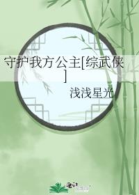 守护我方公主[综武侠]