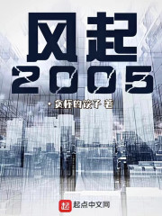 风起2005无错