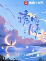 歌曲吻月亮