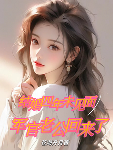 丈夫四年没回家妻子有孩子什么电视剧