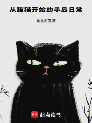 从猫开始进化的小说