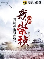 大明:我崇祯,开局凌迟魏忠贤! 风起长空