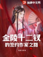 金陵十二钗经历