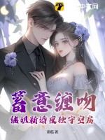 蓄意缠吻,继姐新婚夜独守空房