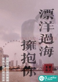 我越过海洋去拥抱你