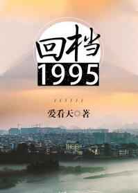 回档1995讲什么